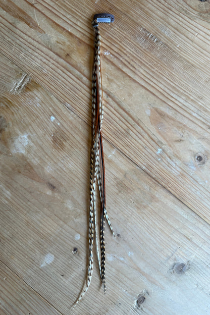 Hair Feather
