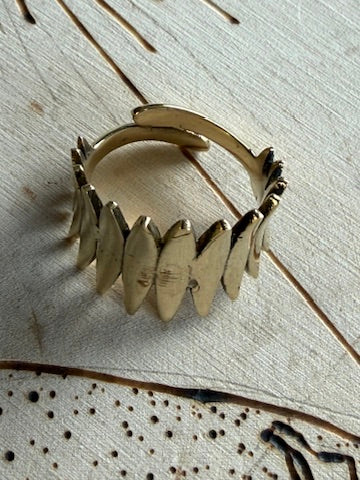 Surfboards Ring