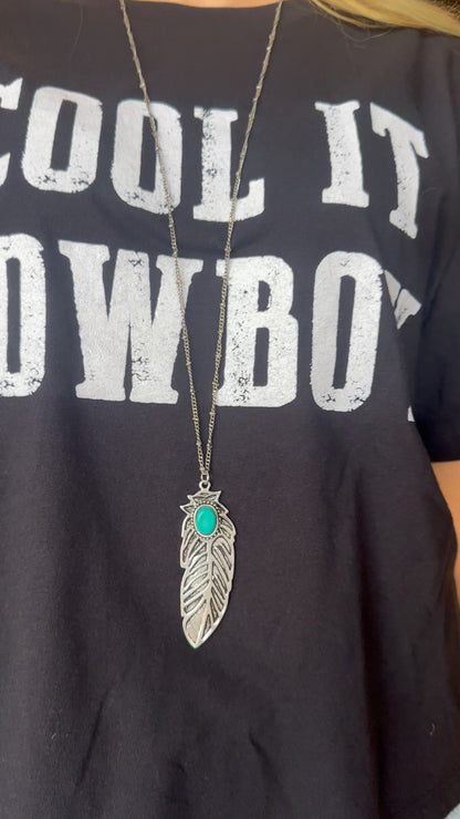 Cool It Cowboy