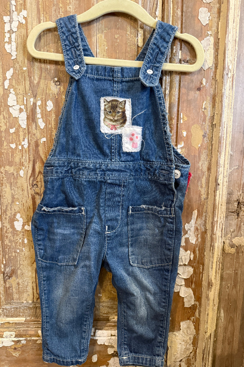Cat & Dolls Overalls