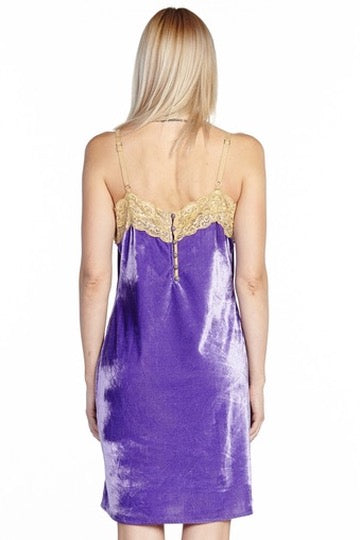 Velvet Dreams Mini Dress-9922