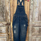 Denim Skirt Overalls